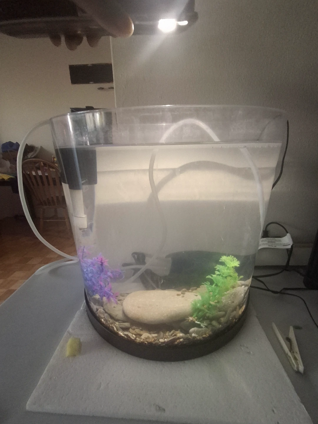 Small Desktop Aquarium Kit