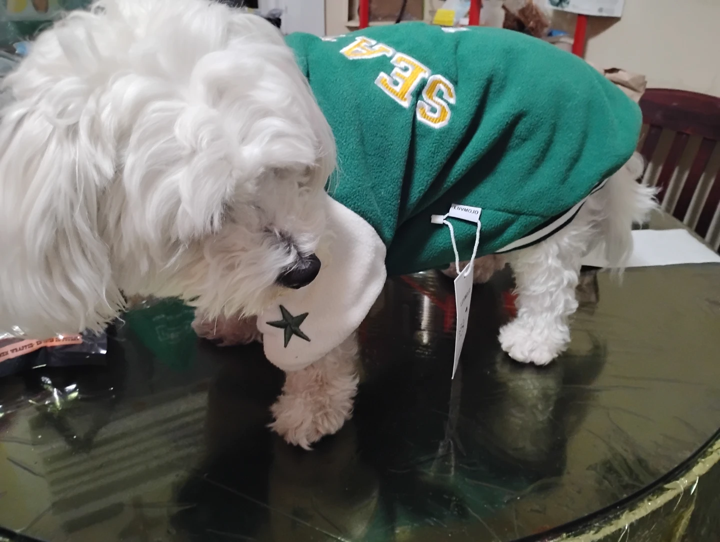 Luvmojo Seattle 1993 Dog Jacket
