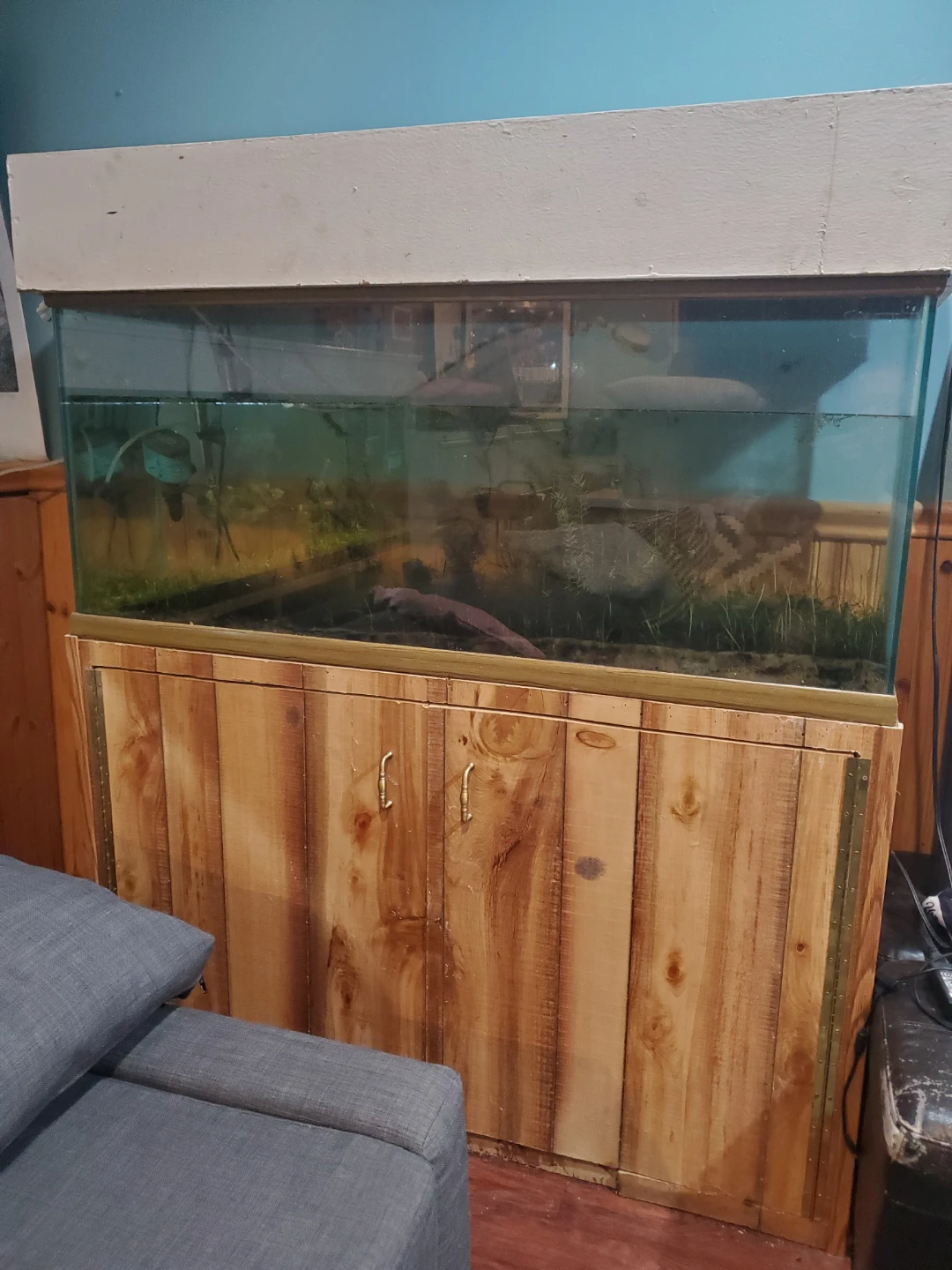 Glass Aquariums Tanks 75gal 55gal 30gal 20gal - photo 2