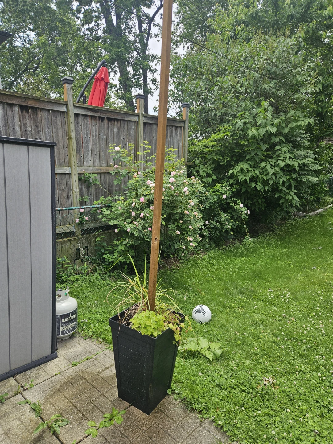 Black Square Planter with Plants - photo 2