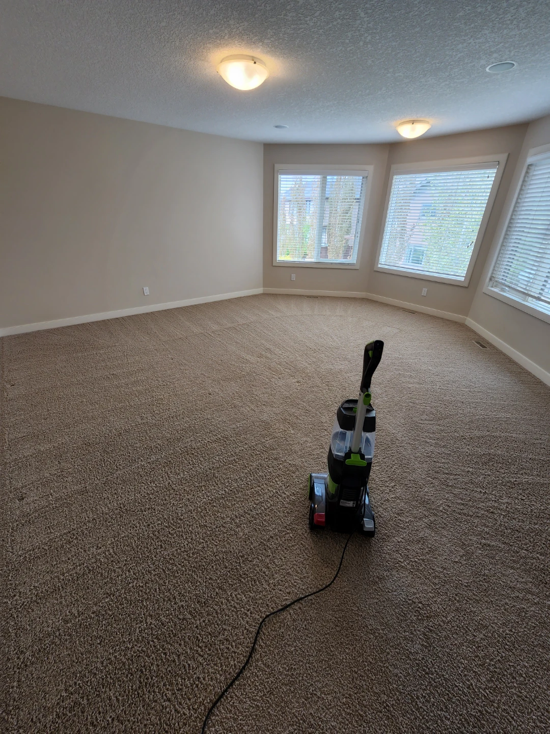 Carpet Cleaning - photo 5