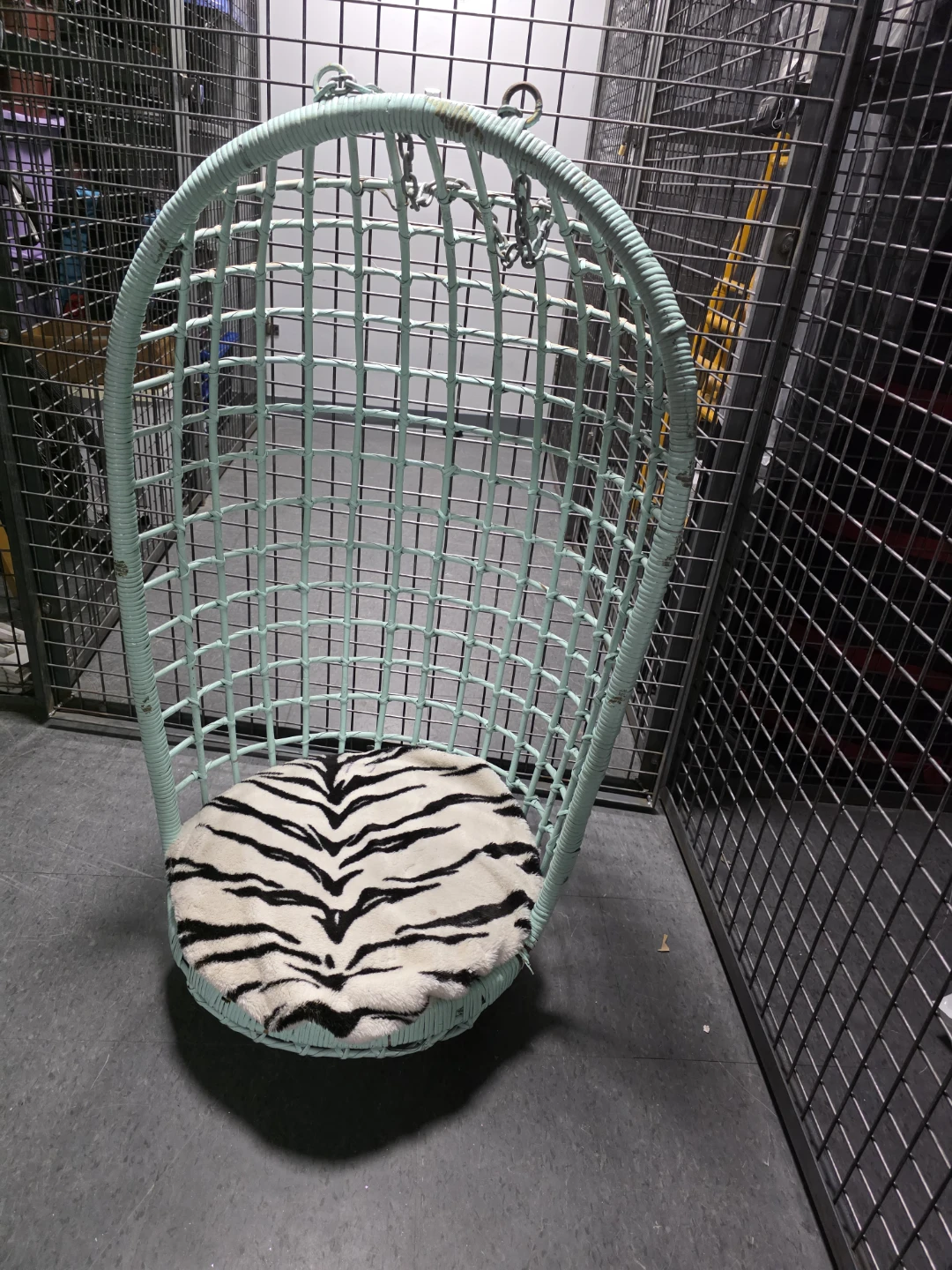 Light Blue Wicker Hanging Chair with Tiger Print Cushion