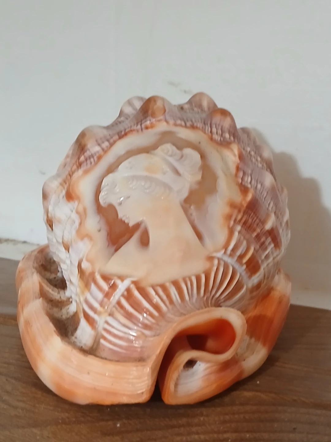 Carved Seashell with Cameo