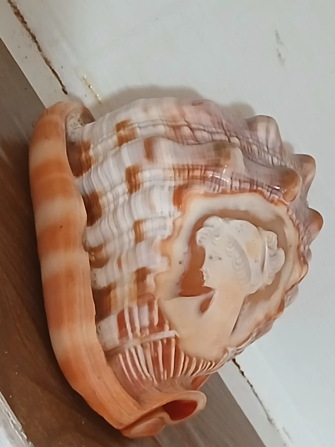 Carved Seashell with Cameo - photo 2