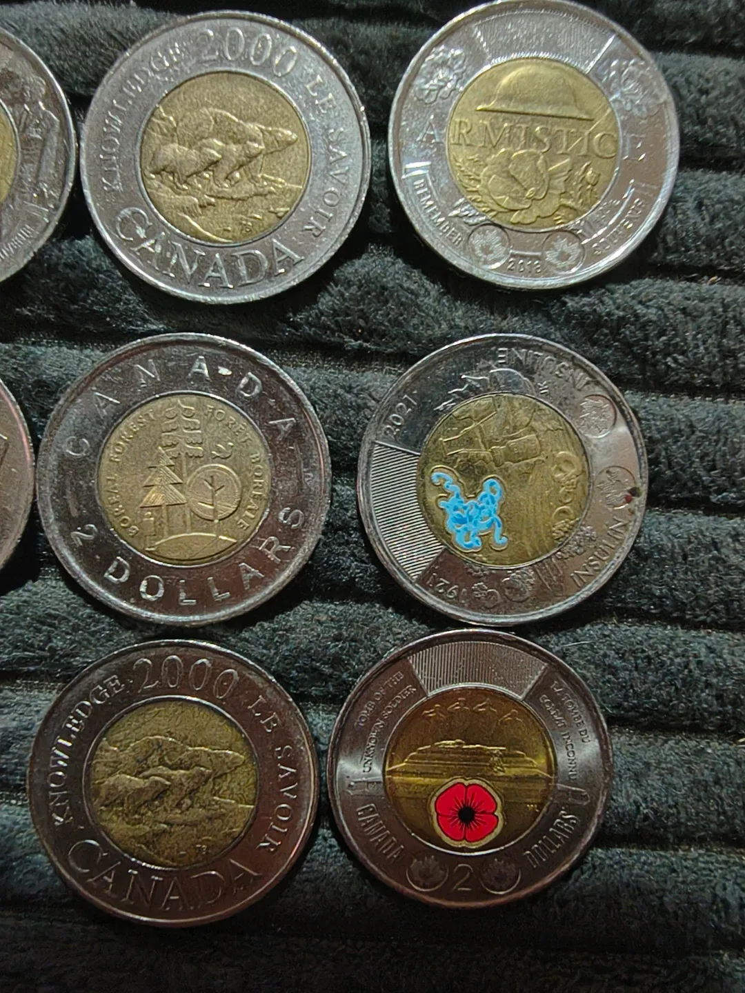 Collection of Canadian Toonies - photo 5