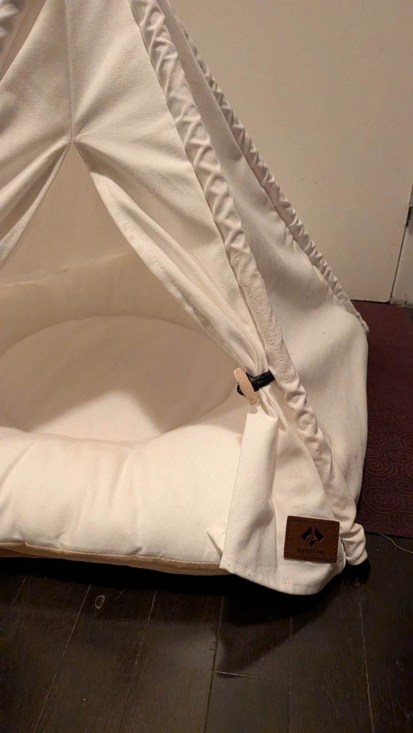 Cat Items: Posts, Large Carrier, TP Bed, Window Perch - photo 4