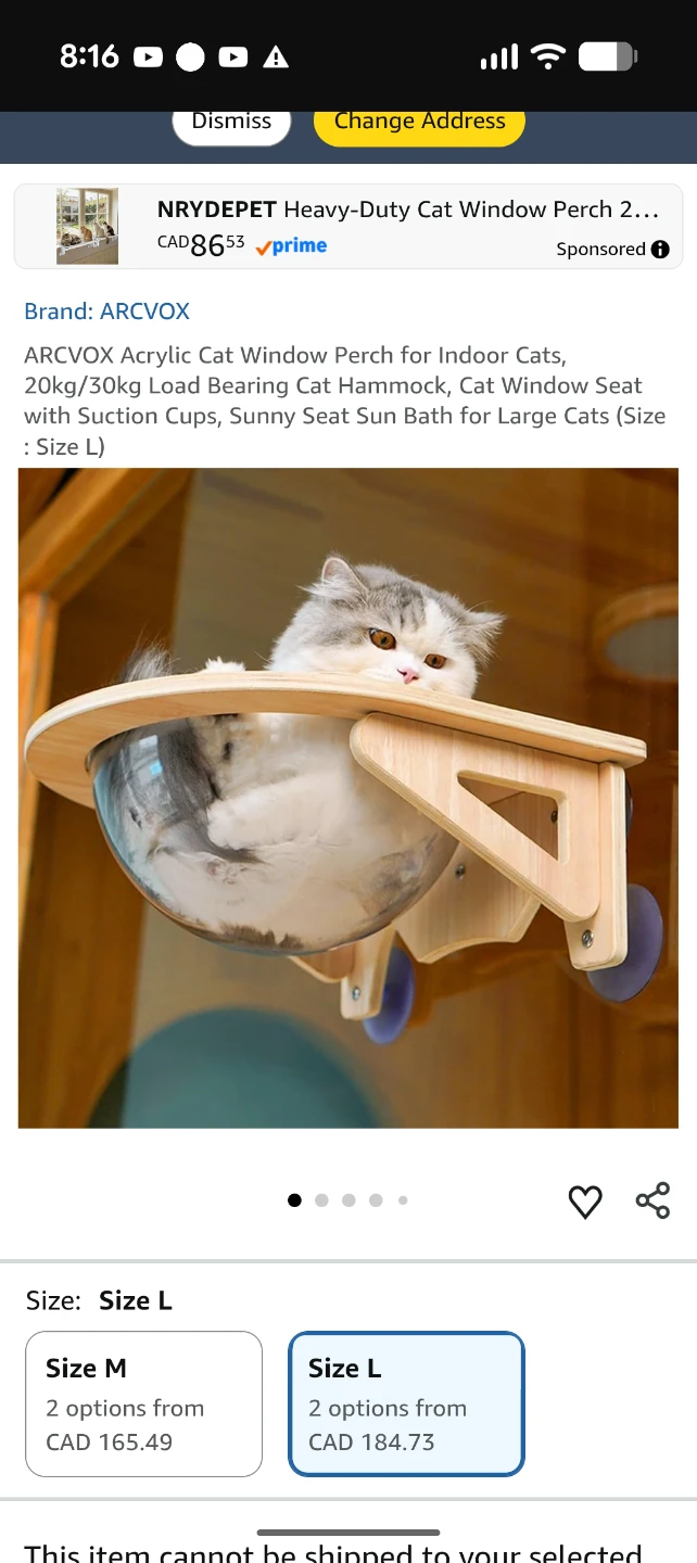 Cat Items: Posts, Large Carrier, TP Bed, Window Perch - photo 5