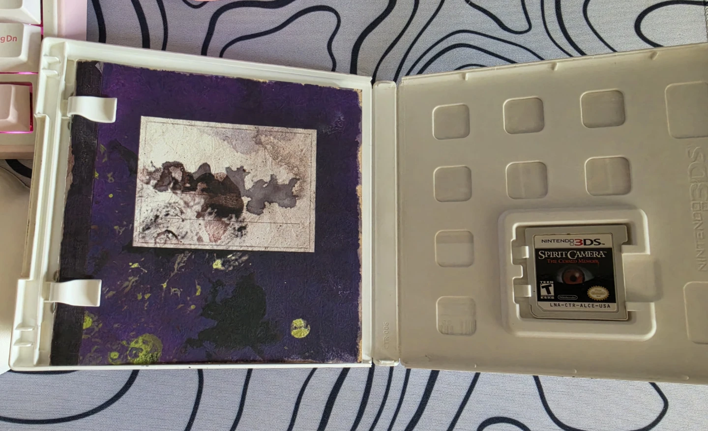 N3DS Spirit Camera: The Cursed Memoir - photo 2