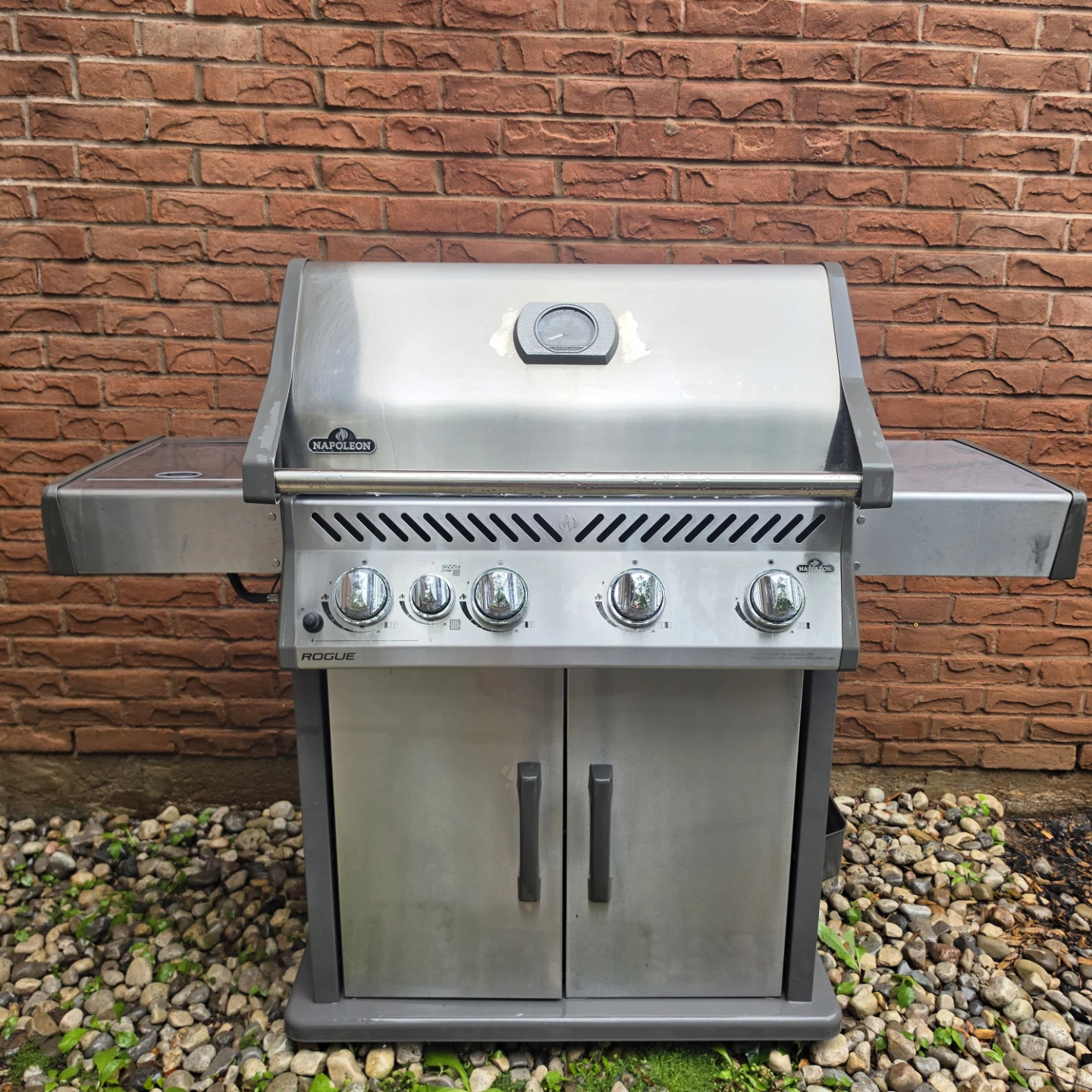 Napoleon Rebel BBQ Propane Gas