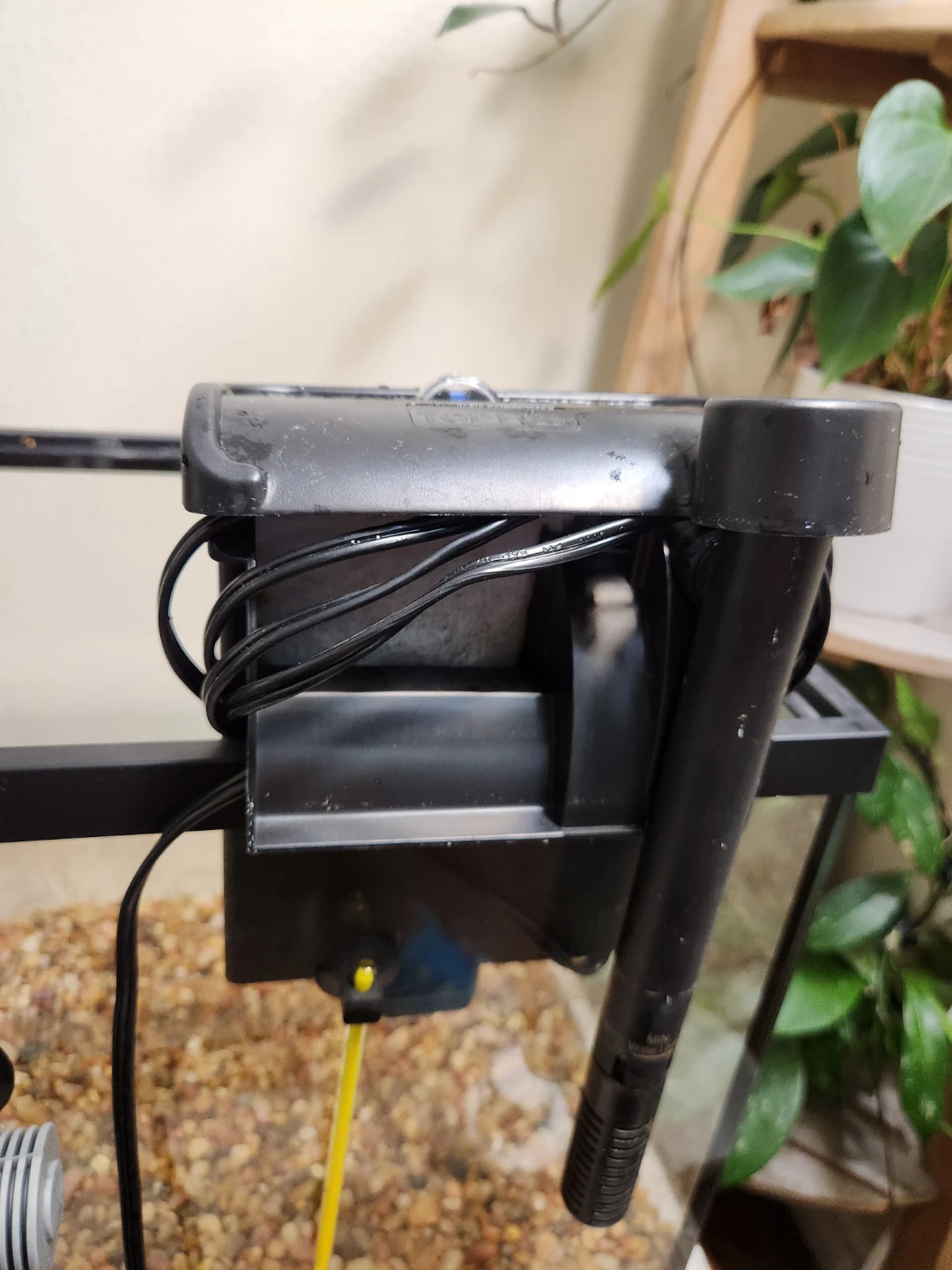 10 gal Aquarium moving sale - photo 4