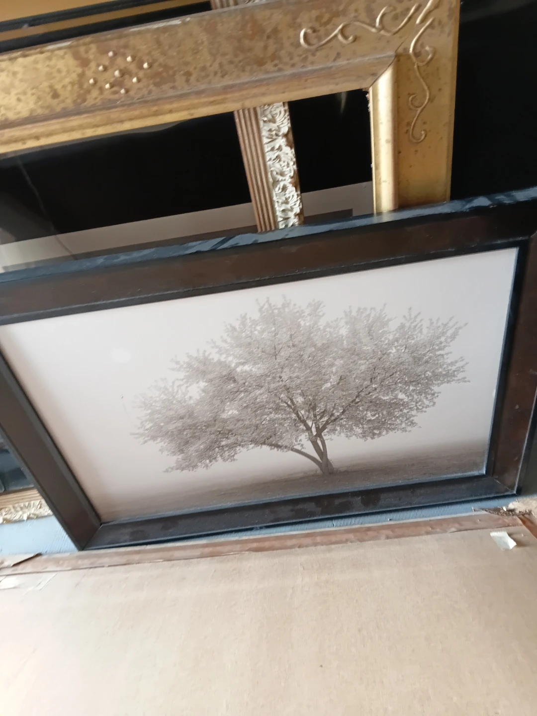 Framed Print of a Tree in Fog
