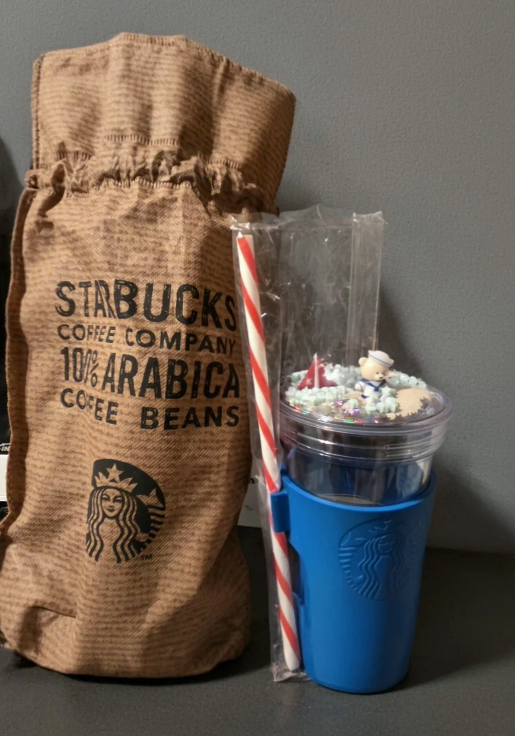 Starbucks Exclusive Bearista Dome Cold Cup with Pouch Set