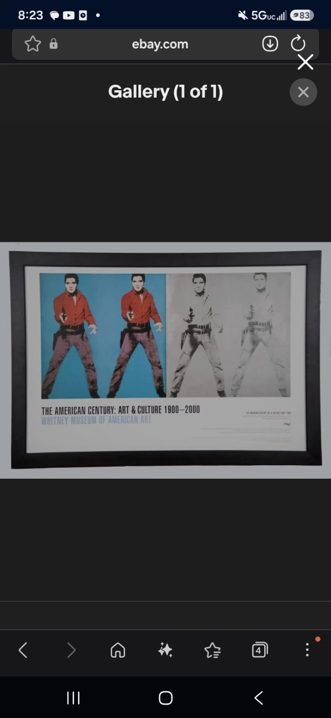Andy Warhol Framed Elvis Poster