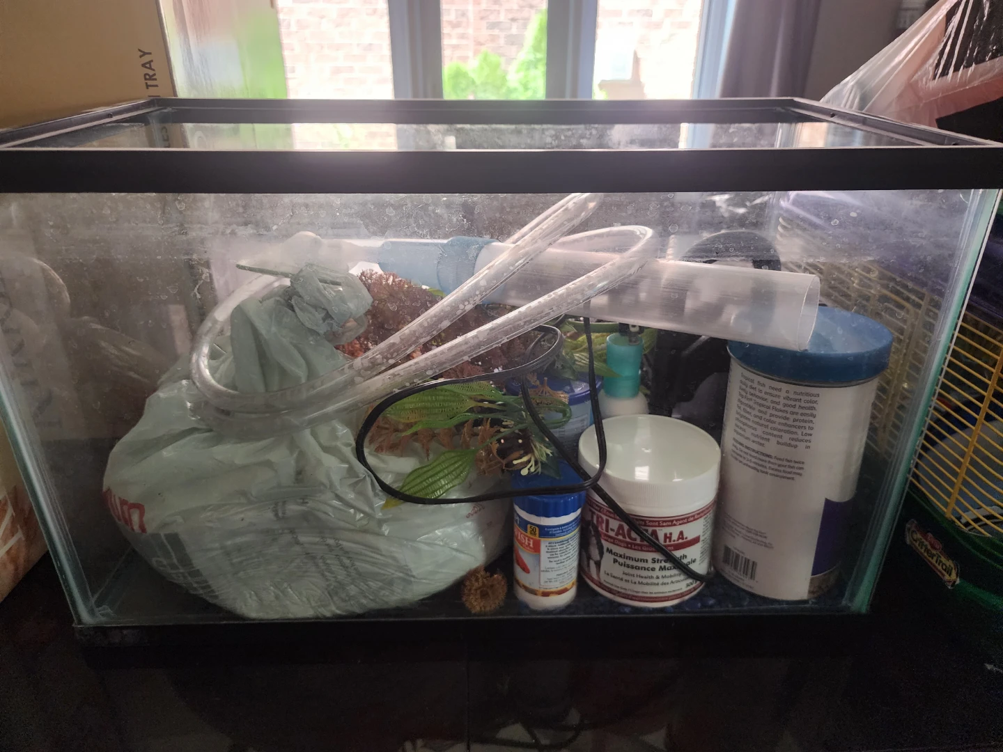 Glass Aquarium Tank with accessories & food
