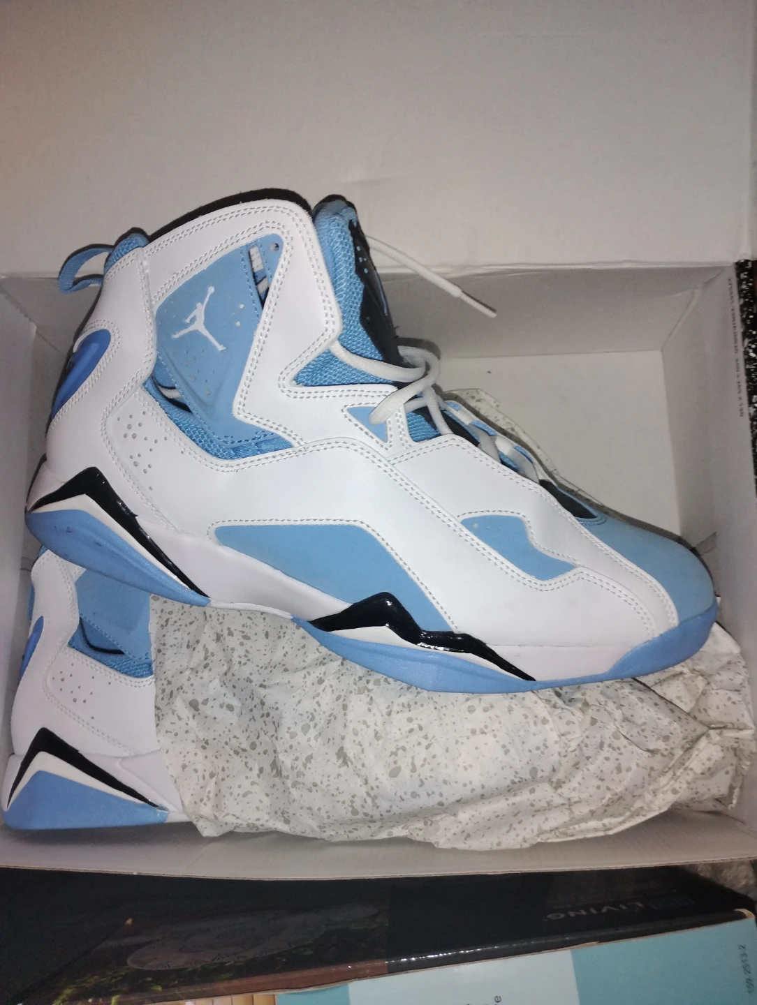 Nike Air Jordan True Flight Sneakers