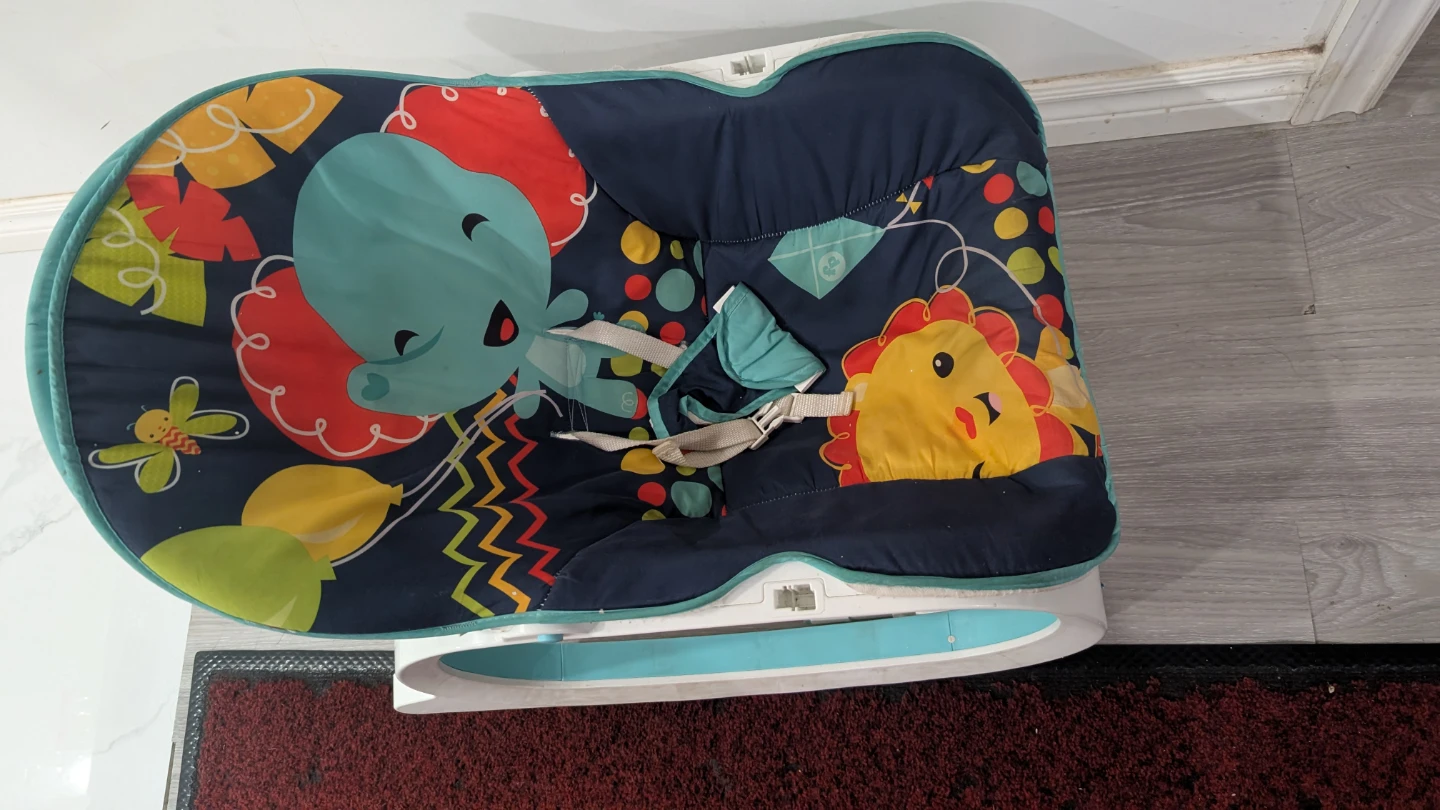 Fisher-Price Infant Rocker - photo 3