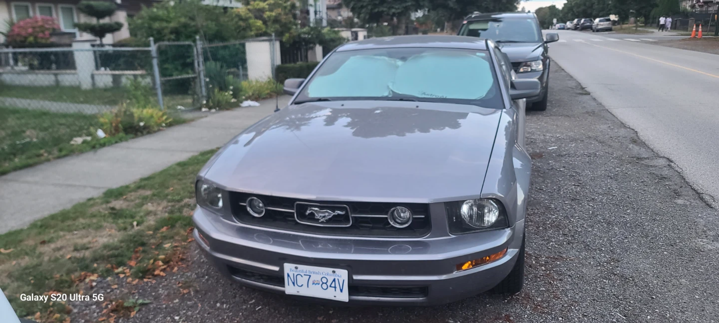 2006 Ford Mustang Coupe pony package - photo 3