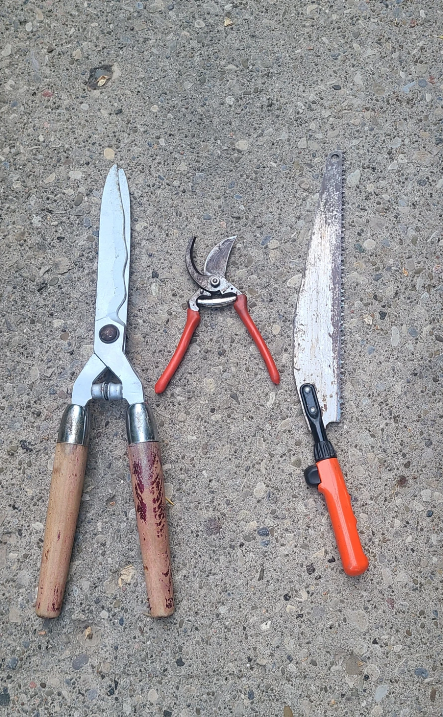 Garden Tools - Big & Small Shears & Saw - photo 2