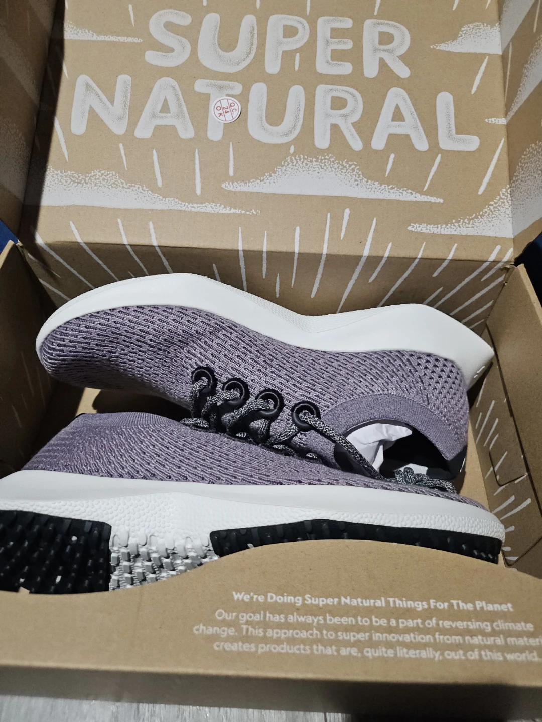 Allbirds Wool Runners - Purple