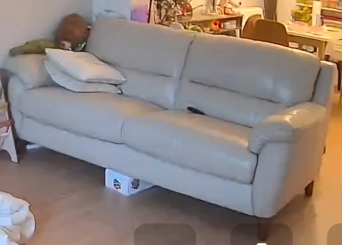 Hydeline Canada Lara Leather Sofa