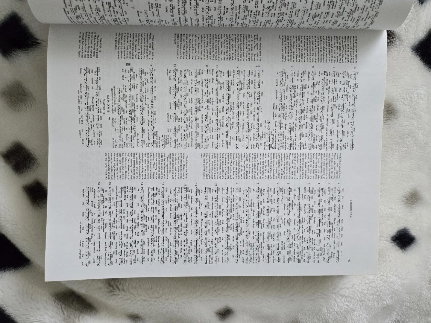 Hendrickson The Interlinear Bible Hebrew Greek English - photo 2