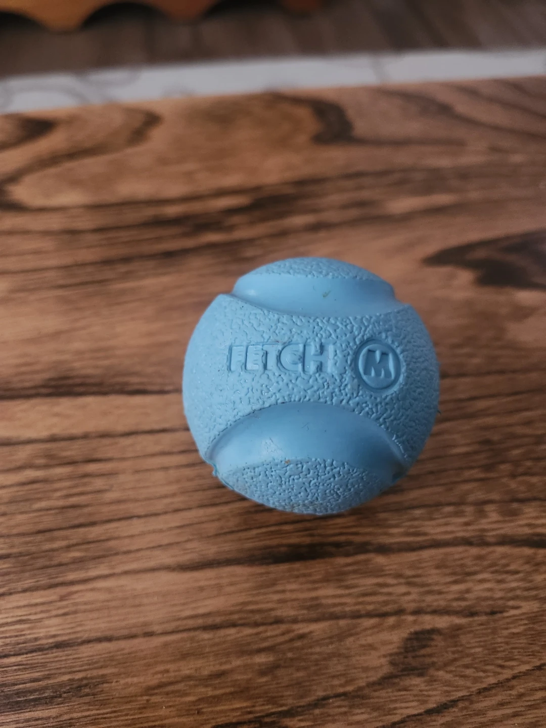 Blue Fetch dog toy ball