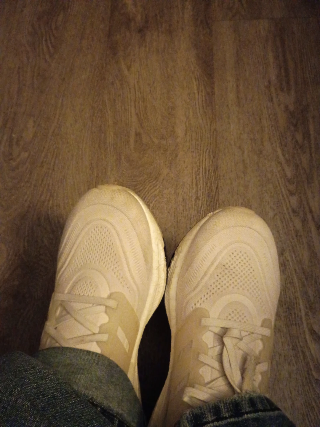 Adidas Ultraboost Running Shoes
