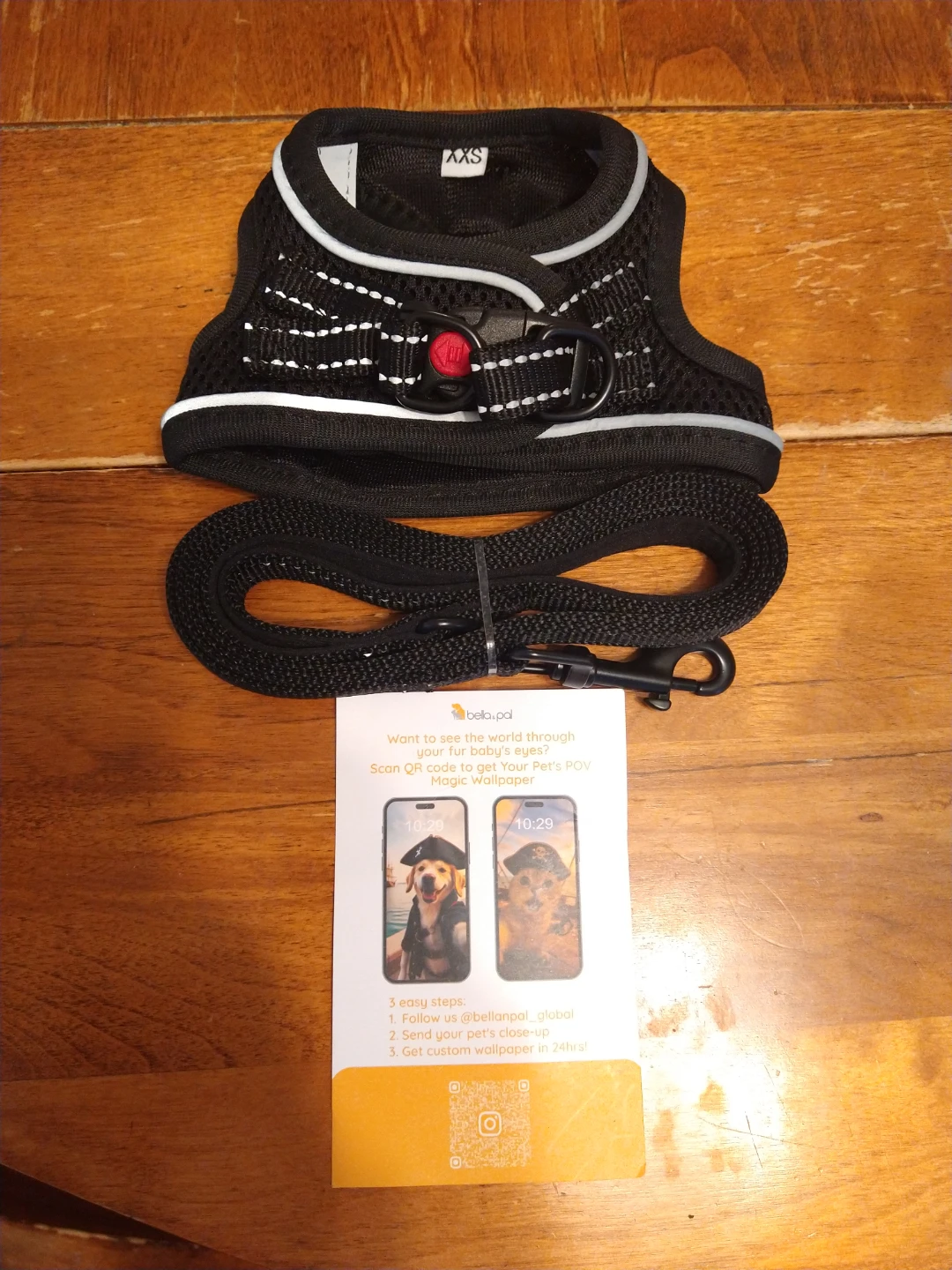Bella & Paw Dog Harness with Leash - photo 3