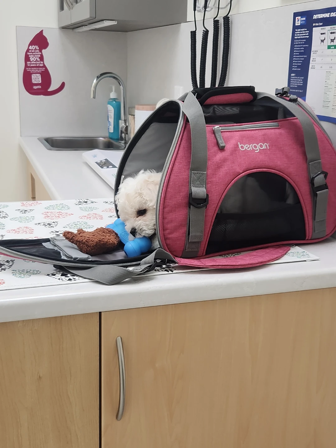 Pet Carrier Bag - photo 3