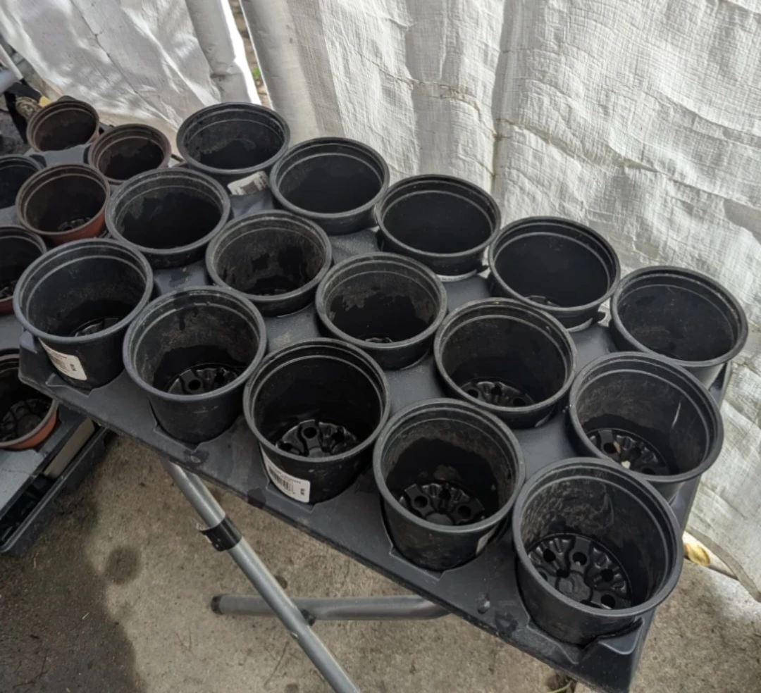 Nursery tray with 4" pots - photo 2