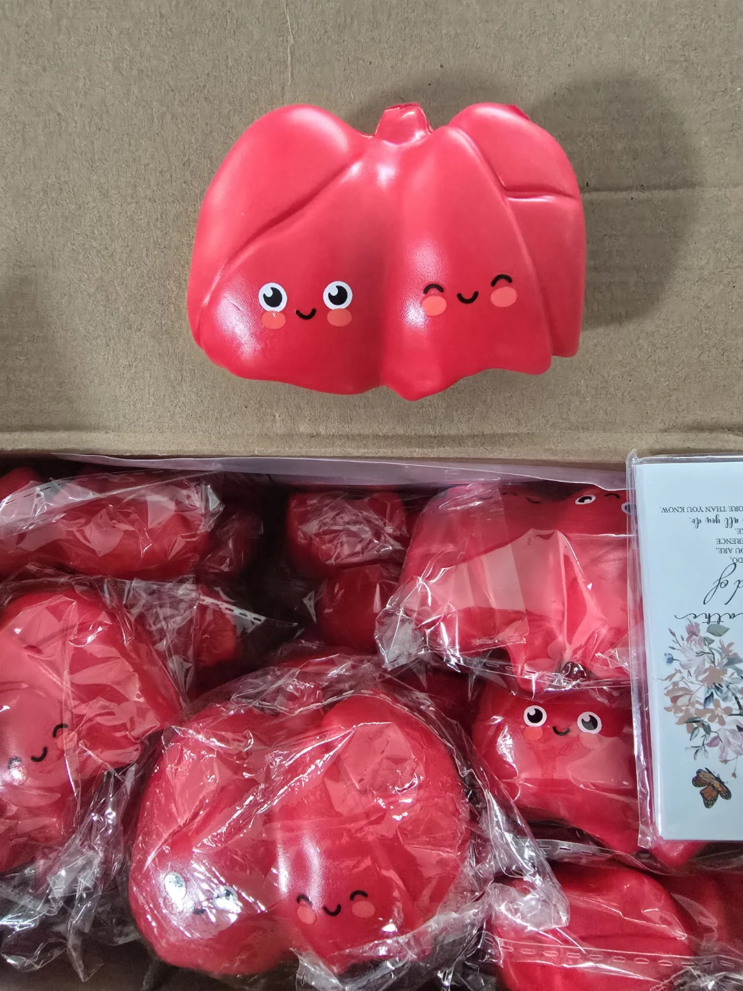 20 pcs Red Lung Shaped Stress Ball