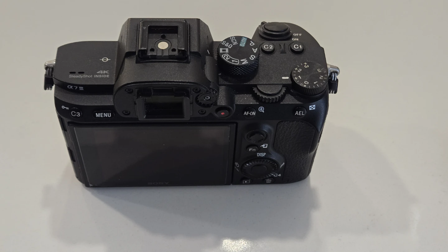 Sony A7III + 28-70mm lens - photo 3