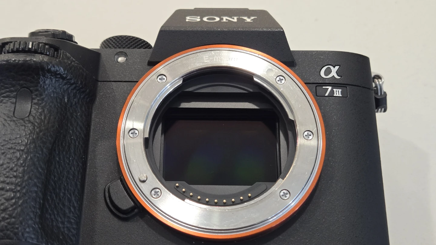 Sony A7III + 28-70mm lens - photo 4