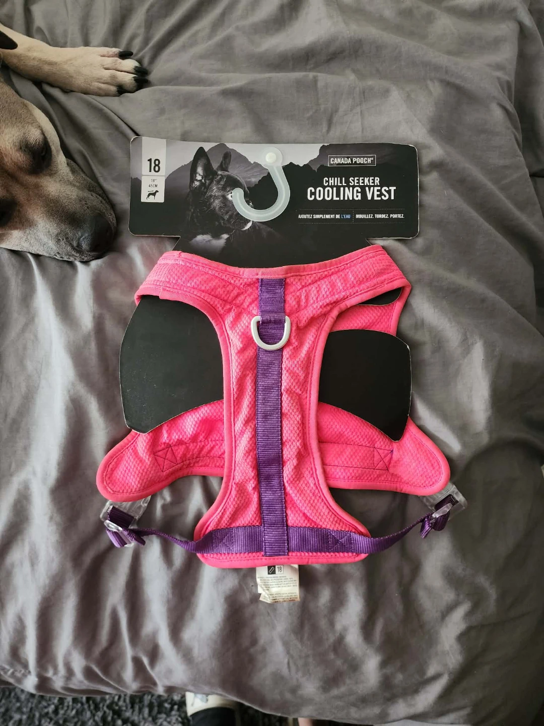 Canada Pooch Chill Seeker Cooling Vest Size 18 Pink