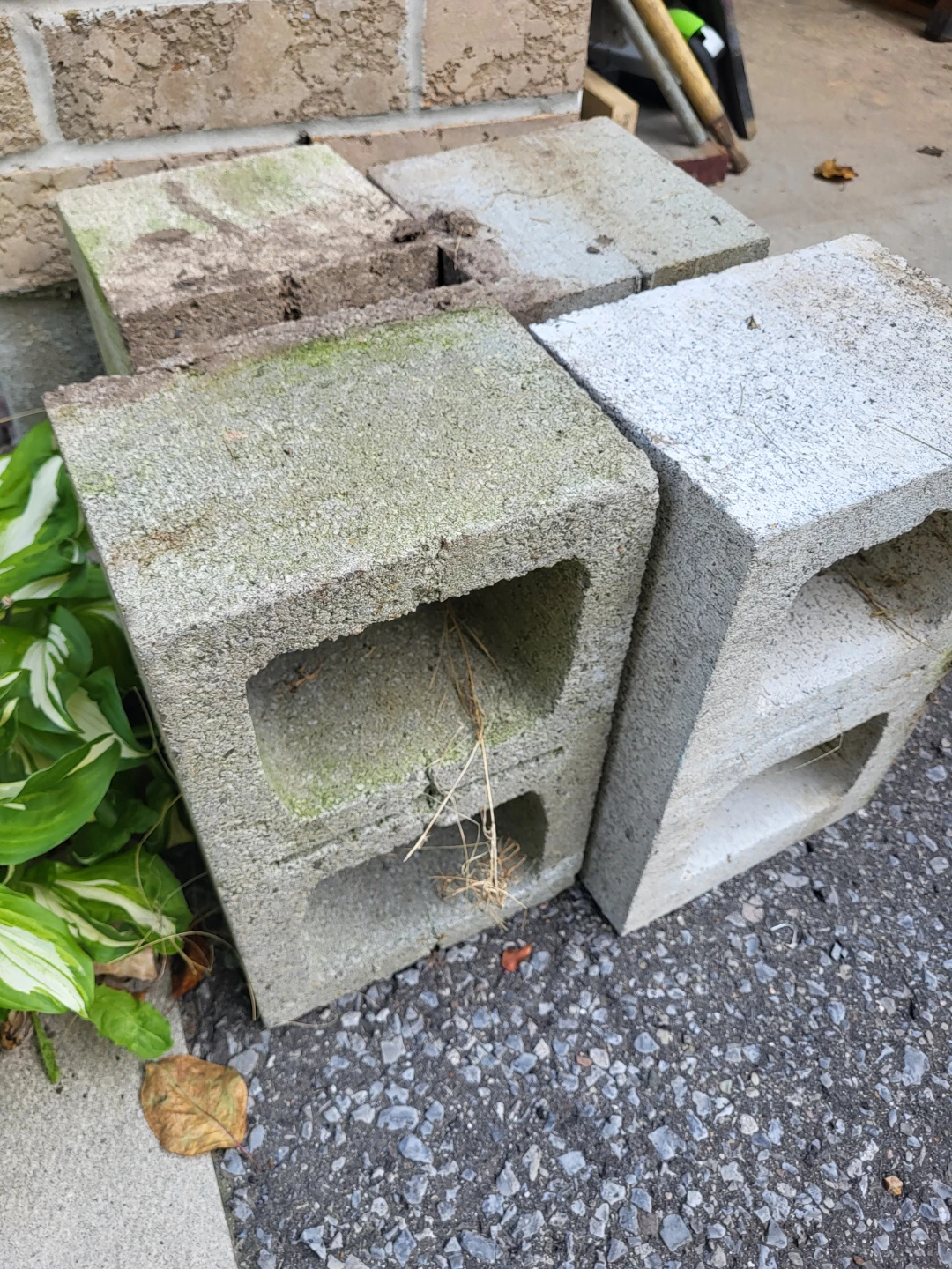 Four Concrete Blocks