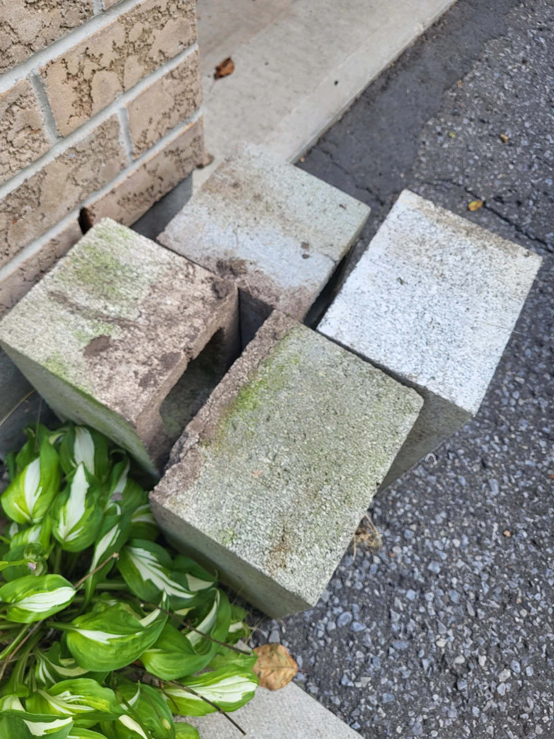 Four Concrete Blocks - photo 2