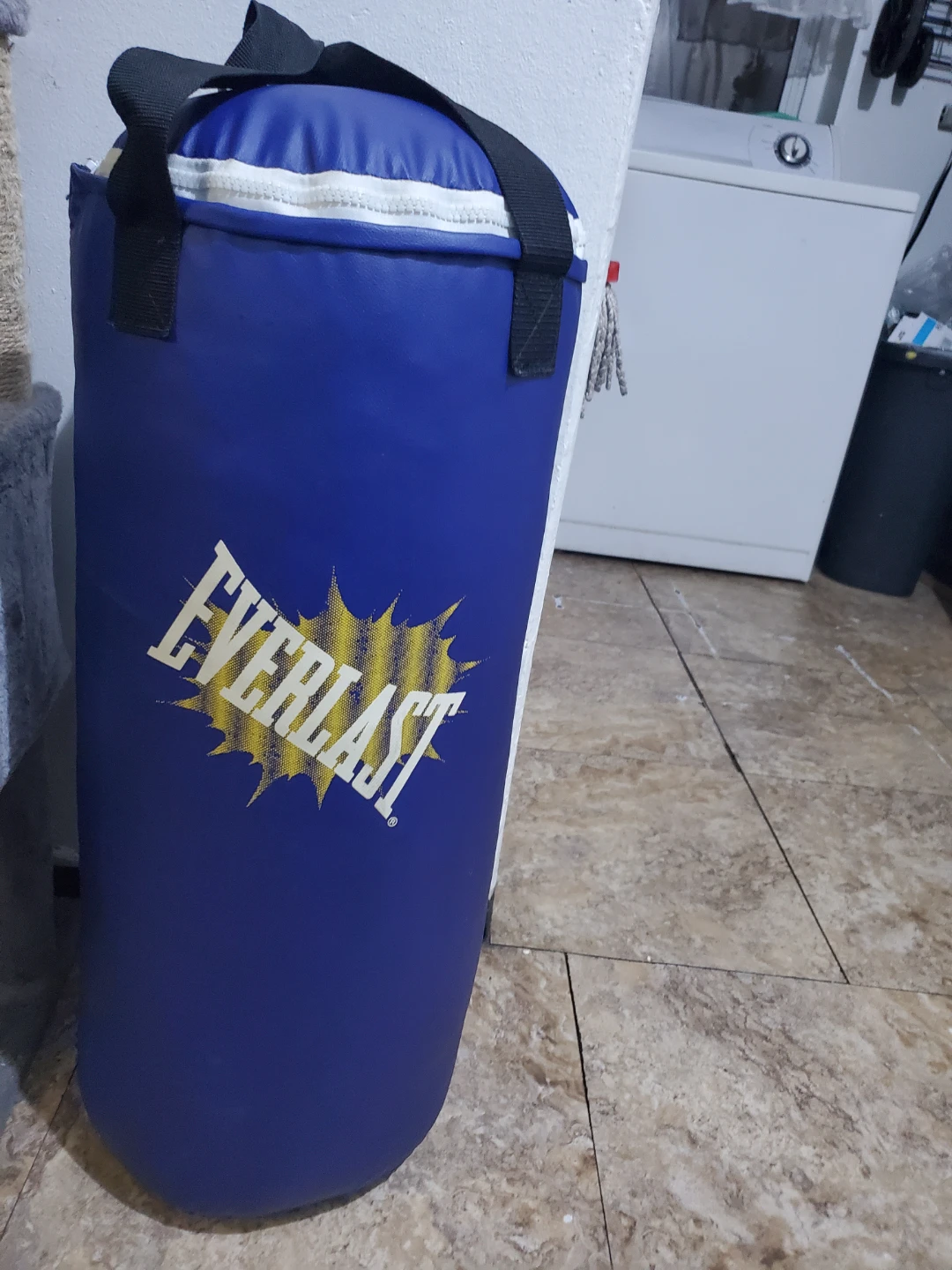 Everlast Punching Bag