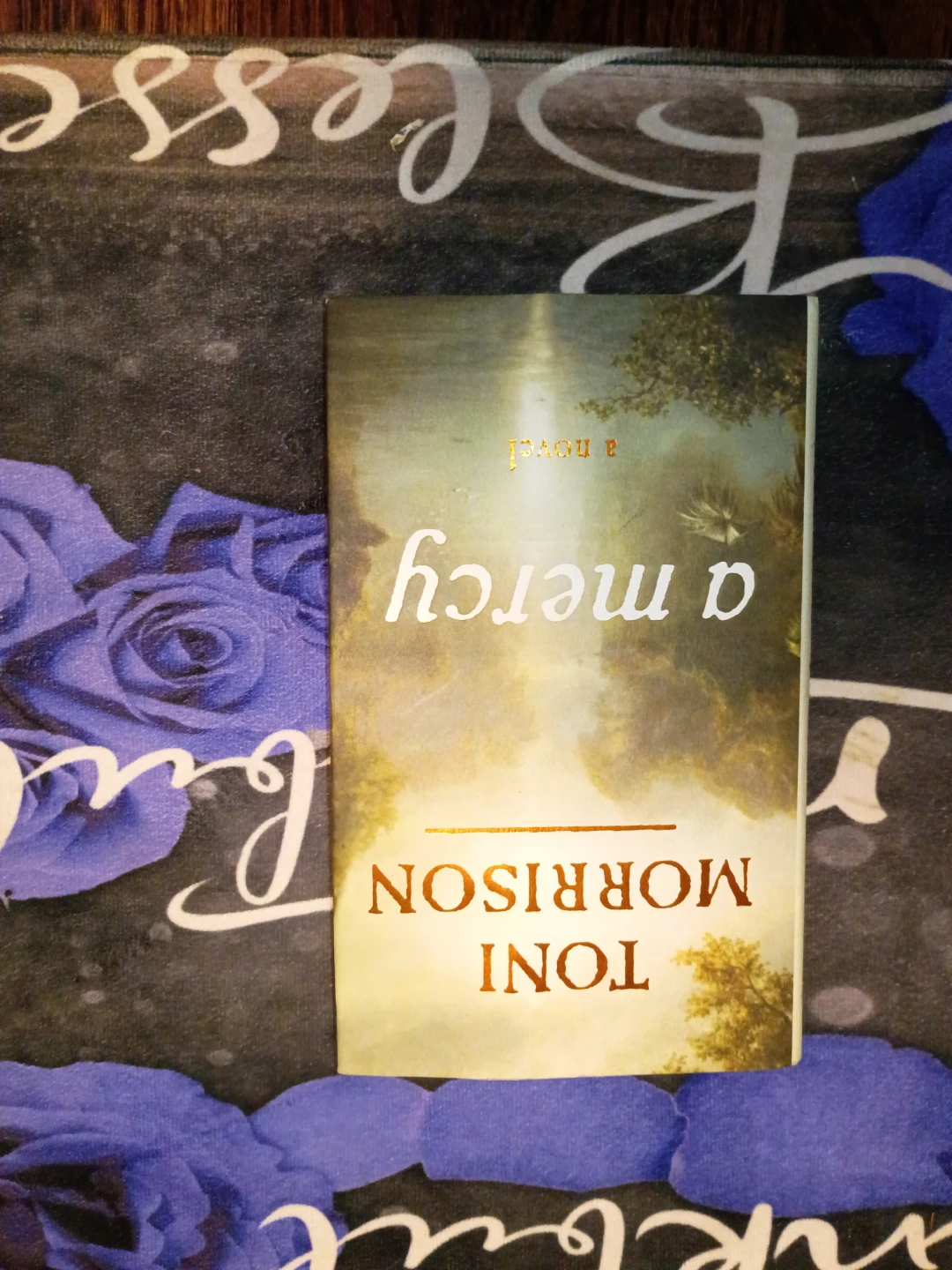 Toni Morrison "Love" and "A Mercy" Novels Hardcover - photo 3