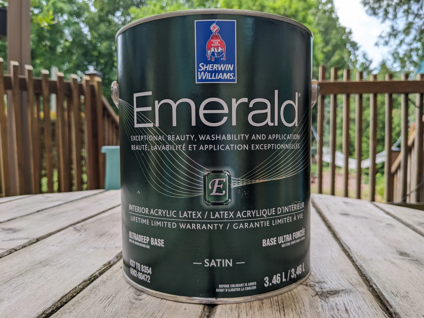 New- Sherwin Williams Emerald Paint in Tricorn Black