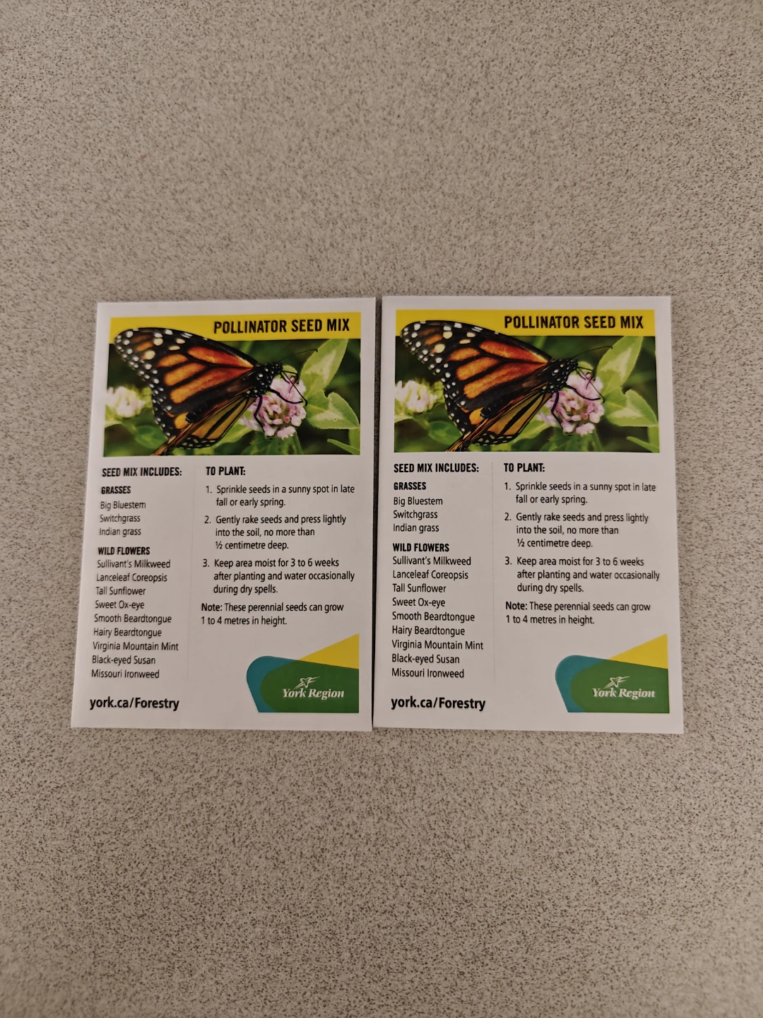 Pollinator Seed Mix