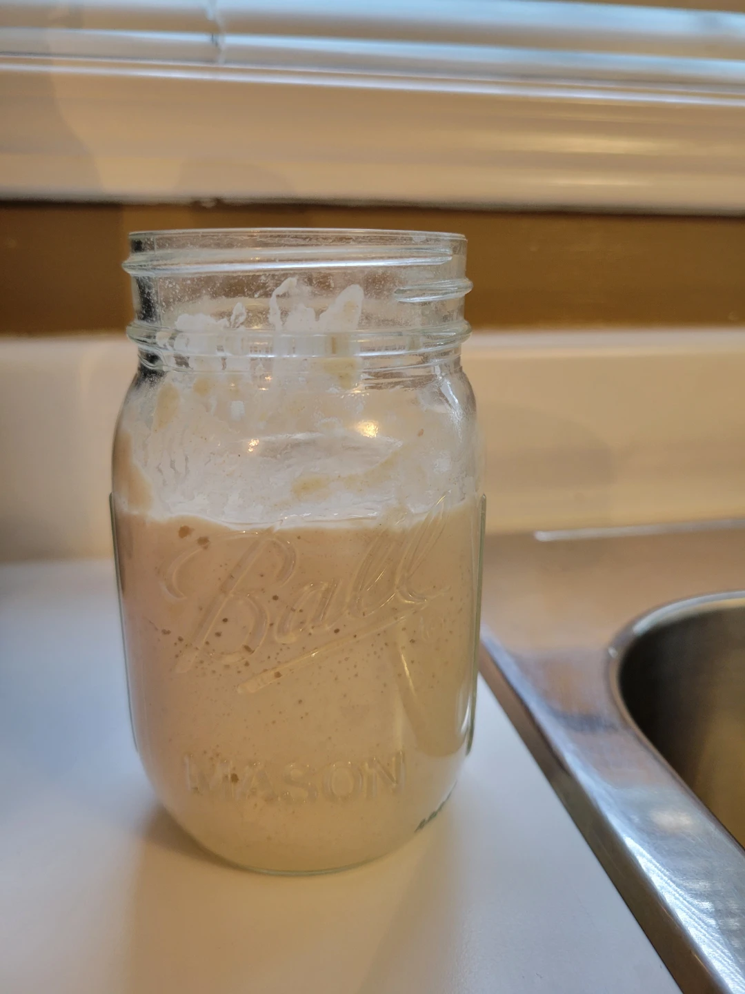 Sourdough starter 50+ years old