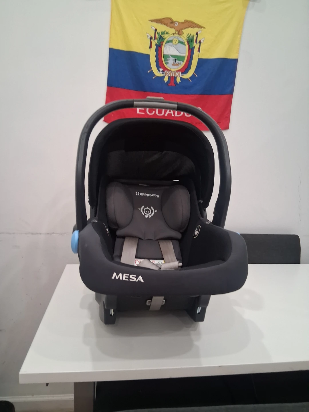 UPPAbaby MESA Infant Car Seat - photo 5