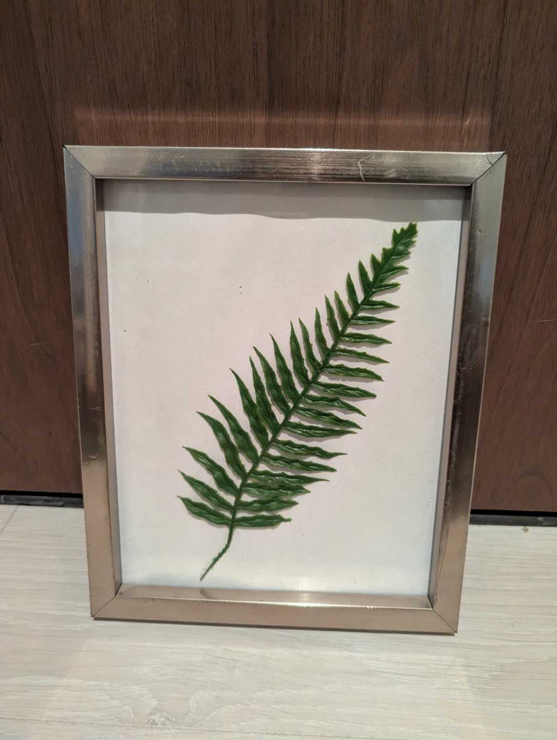Framed Fern Leaf Wall Art