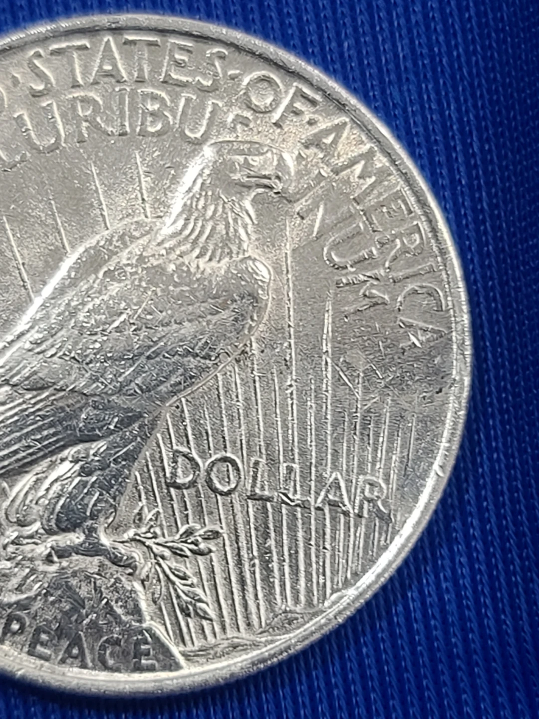 United States Peace Siilver Dollar Coin - photo 4