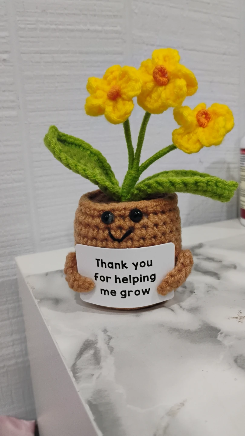 Crocheted Flower Pot Decoration