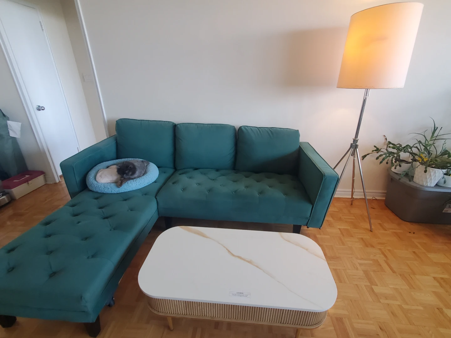 Teal Sectional Sofa with Chaise