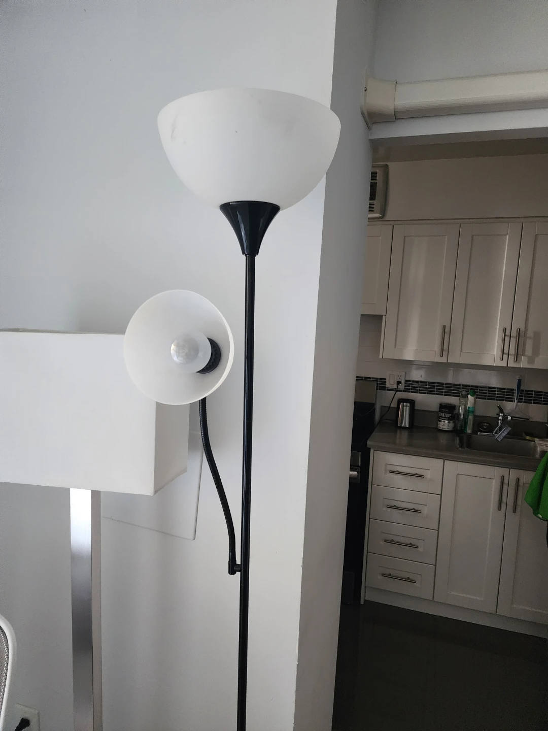 Black Floor Lamp with Reading Light
