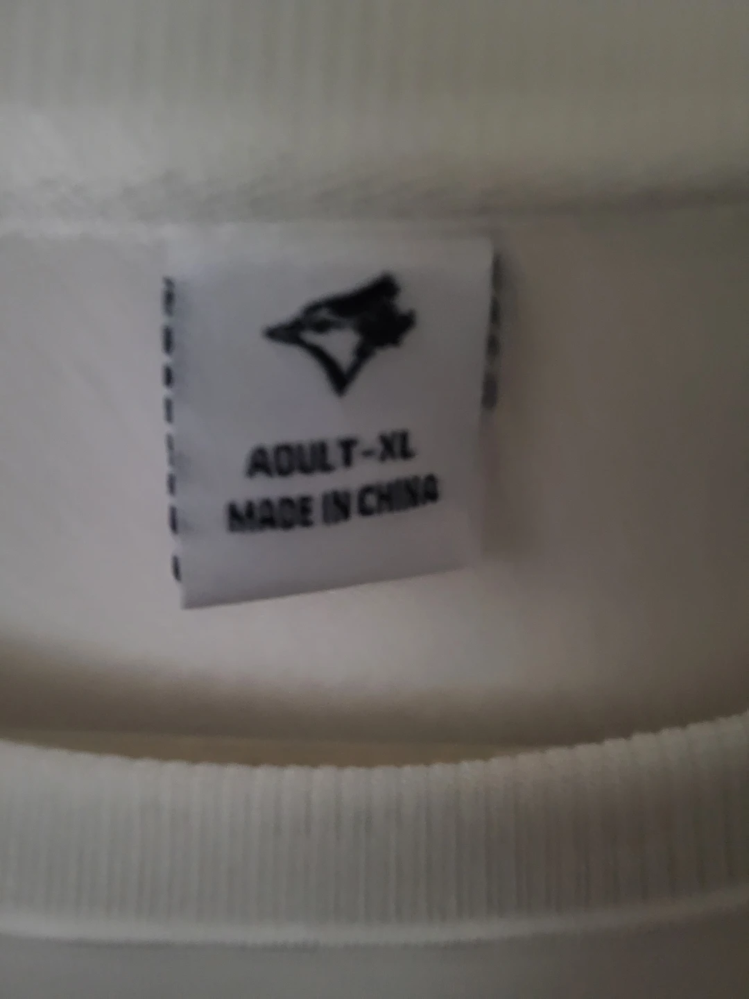 Blue Jays 2025 AL Champions Sweater (XL) - photo 3