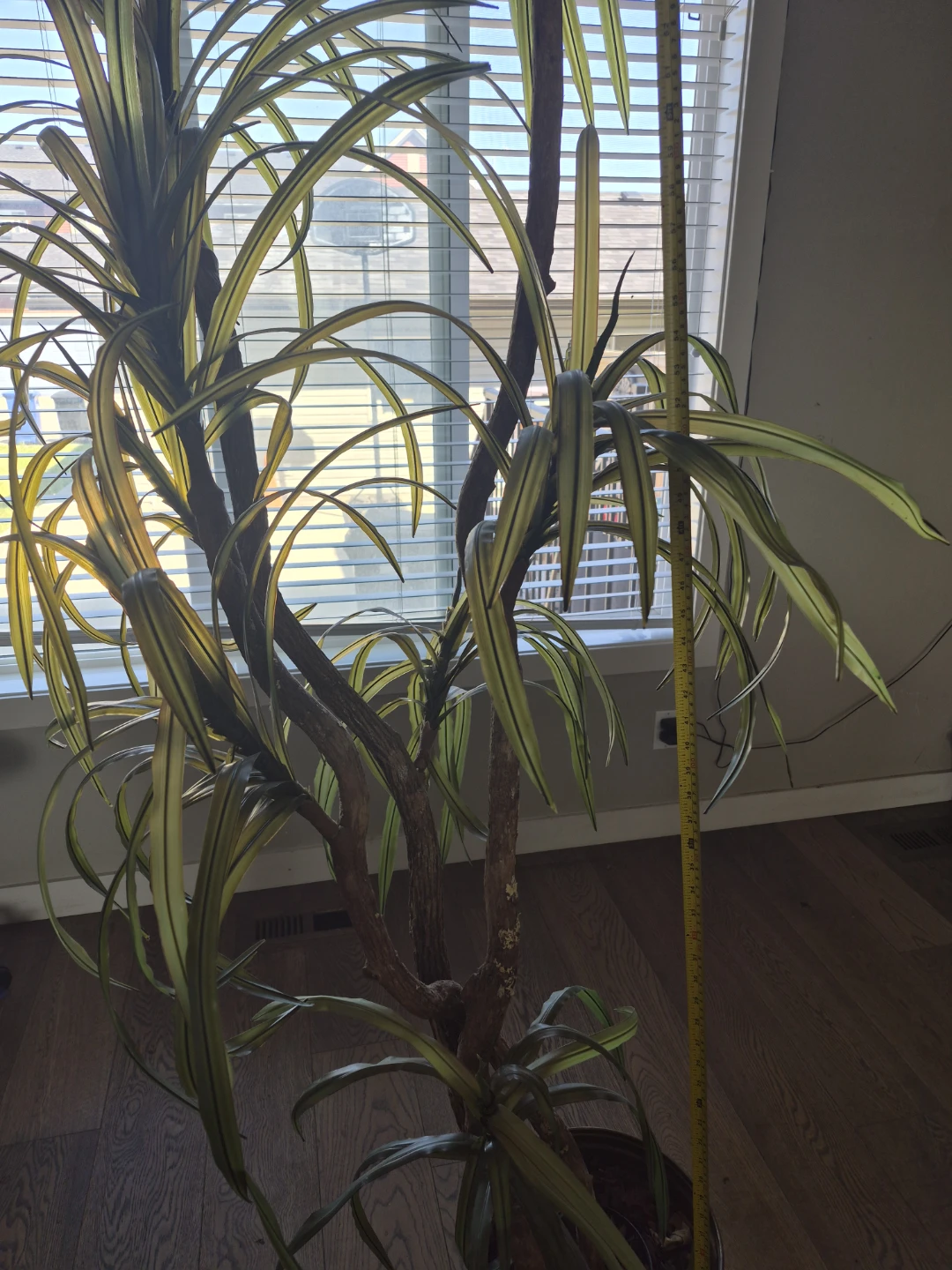 Tall Artificial Plant