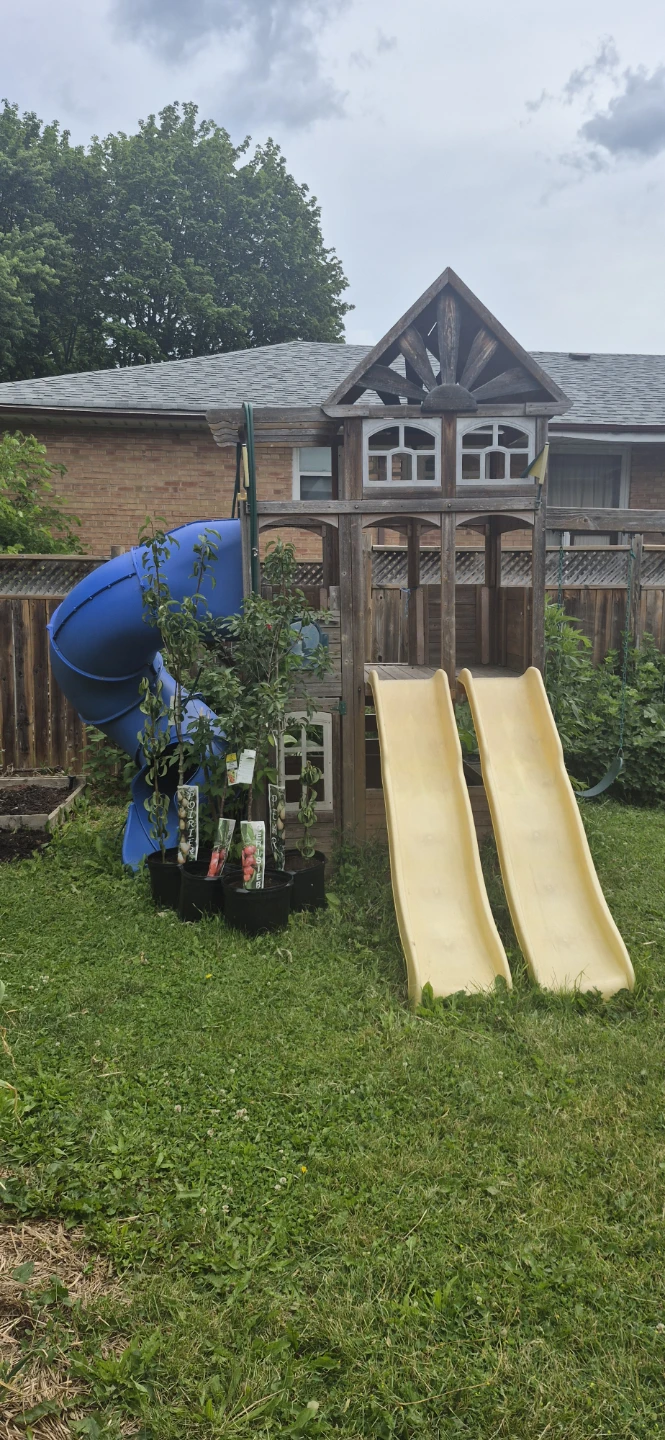 Free playset - photo 2